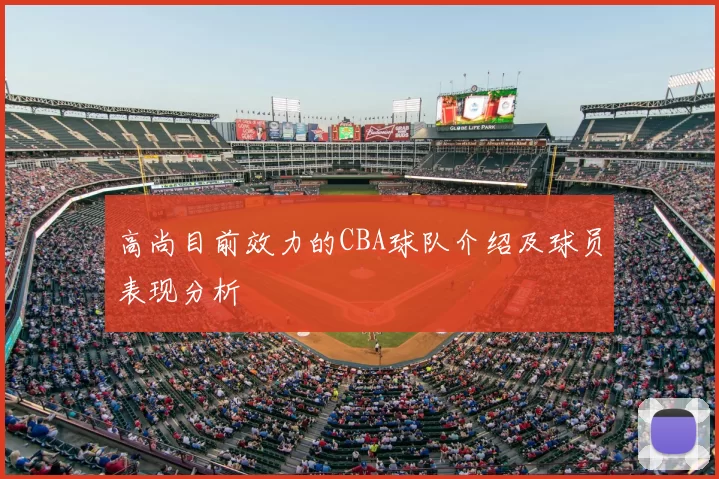 高尚目前效力的CBA球队介绍及球员表现分析