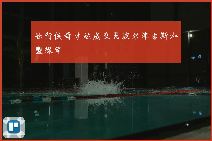 独行侠奇才达成交易波尔津吉斯加盟绿军