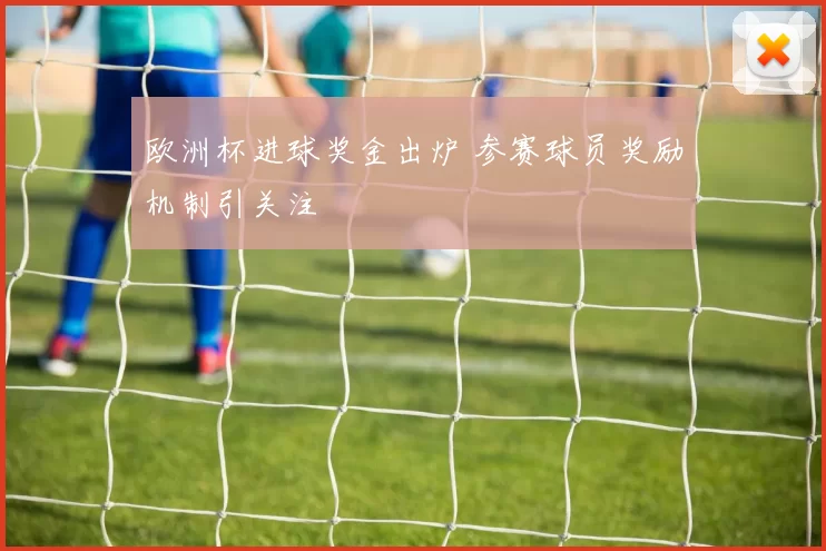 欧洲杯进球奖金出炉 参赛球员奖励机制引关注