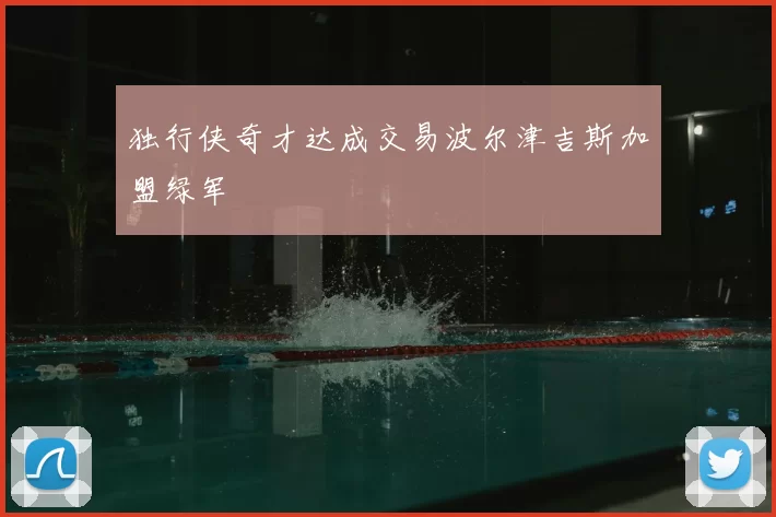 独行侠奇才达成交易波尔津吉斯加盟绿军