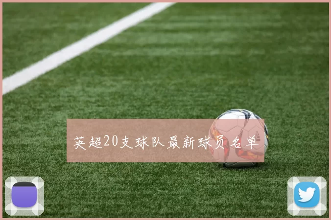 英超20支球队最新球员名单