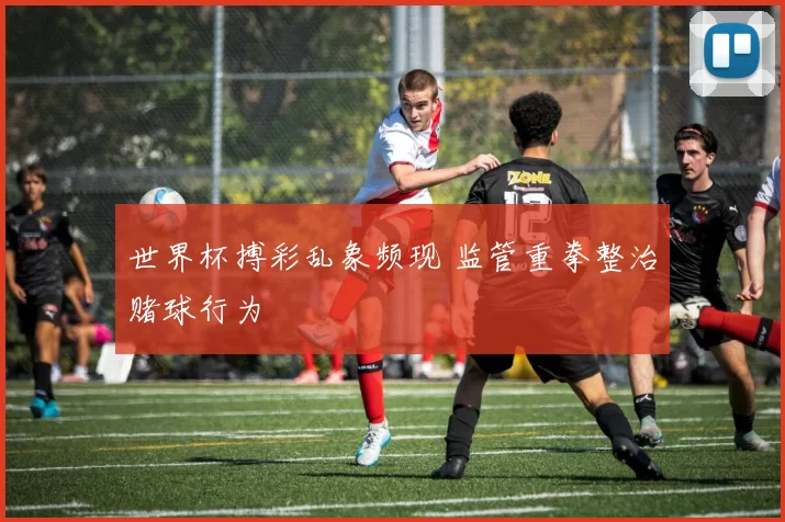 世界杯搏彩乱象频现 监管重拳整治赌球行为