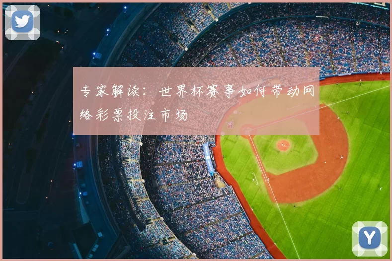 专家解读：世界杯赛事如何带动网络彩票投注市场