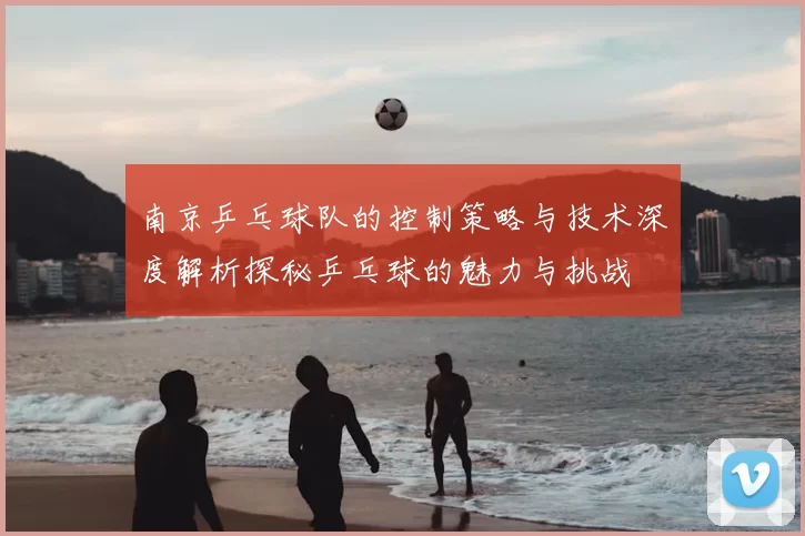 南京乒乓球队的控制策略与技术深度解析探秘乒乓球的魅力与挑战