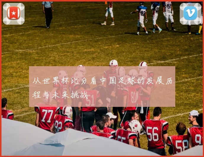 从世界杯比分看中国足球的发展历程与未来挑战