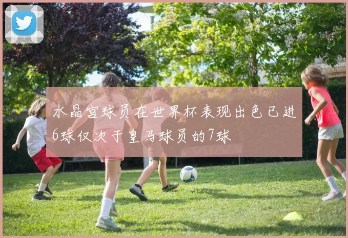 水晶宫球员在世界杯表现出色已进6球仅次于皇马球员的7球