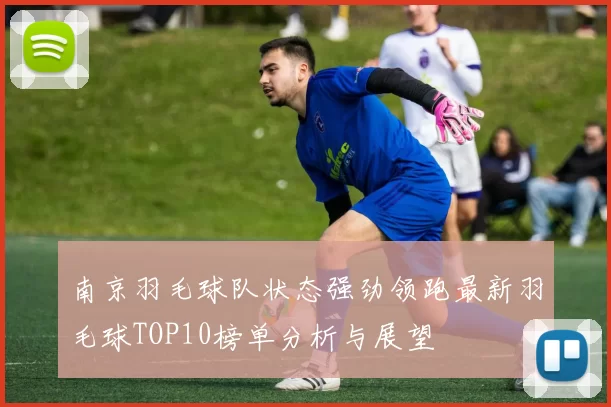 南京羽毛球队状态强劲领跑最新羽毛球TOP10榜单分析与展望