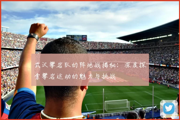 武汉攀岩队的阵地战揭秘：深度探索攀岩运动的魅力与挑战
