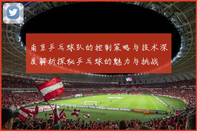 南京乒乓球队的控制策略与技术深度解析探秘乒乓球的魅力与挑战