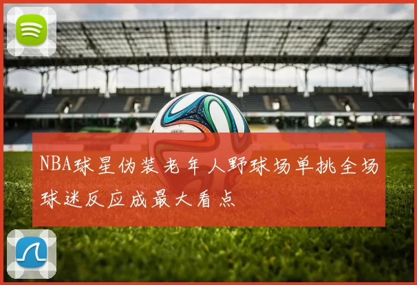 NBA球星伪装老年人野球场单挑全场球迷反应成最大看点