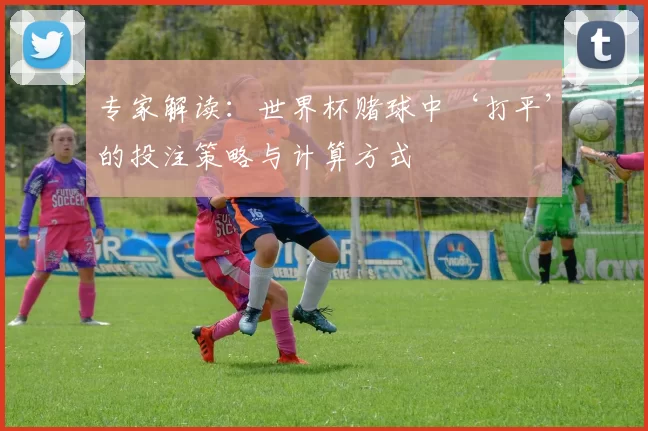 专家解读:世界杯赌球中‘打平’的投注策略与计算方式