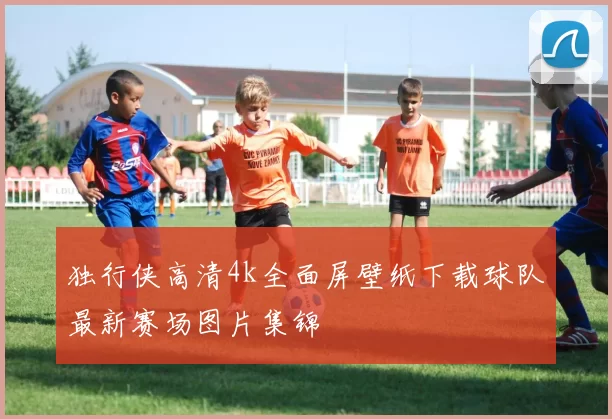 独行侠高清4k全面屏壁纸下载球队最新赛场图片集锦
