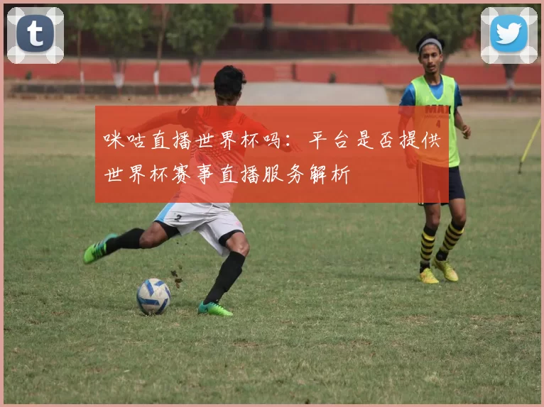 咪咕直播世界杯吗：平台是否提供世界杯赛事直播服务解析