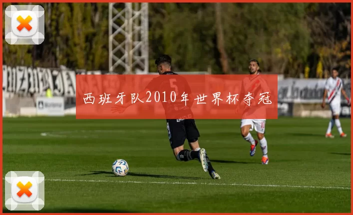 西班牙队2010年世界杯夺冠