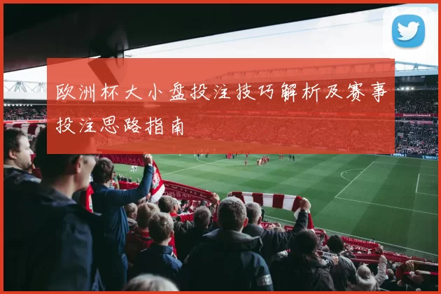 欧洲杯大小盘投注技巧解析及赛事投注思路指南