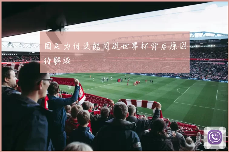 国足为何没能闯进世界杯背后原因待解读