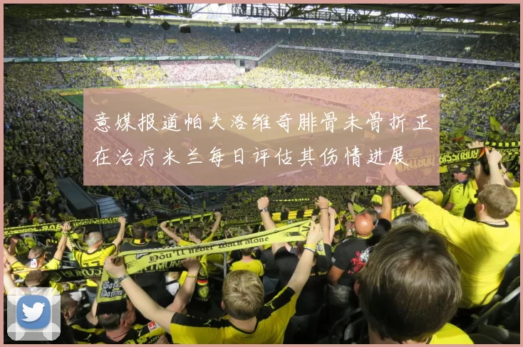意媒报道帕夫洛维奇腓骨未骨折正在治疗米兰每日评估其伤情进展