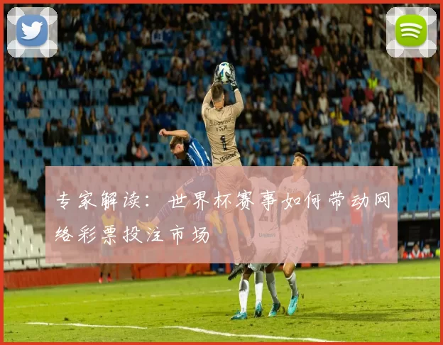 专家解读：世界杯赛事如何带动网络彩票投注市场